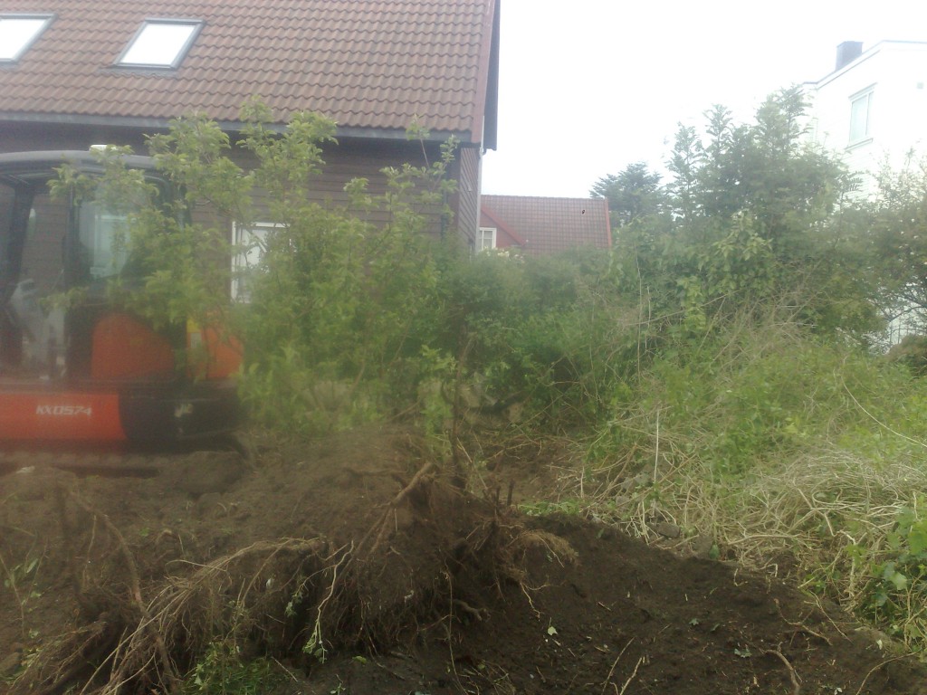 hade som er grevd opp