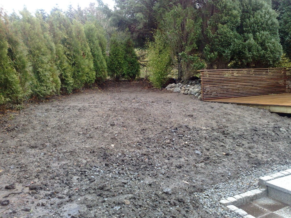 bakgård uten platting