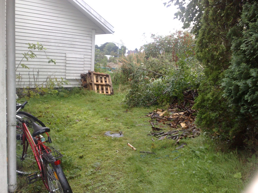 rotete bakside av et hus